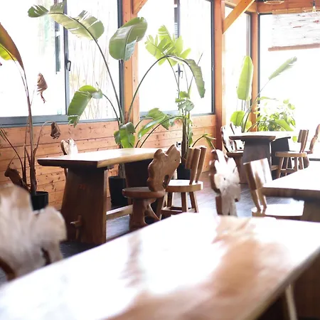 فيلة Posh 1 كافاجي